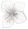 1.png 1.png
